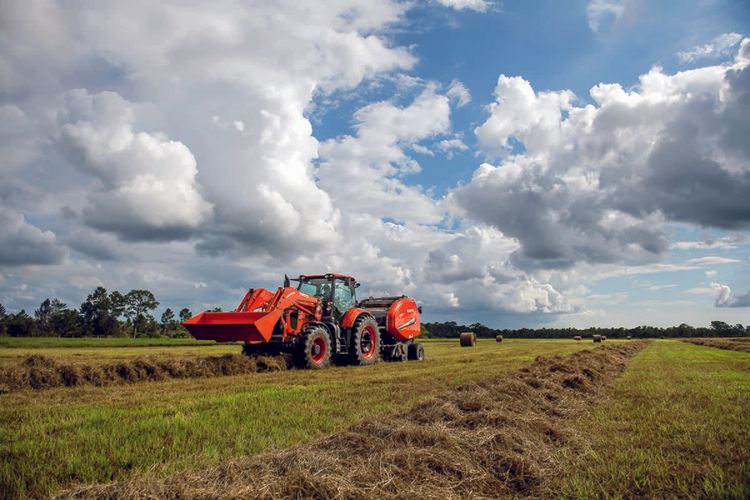 LET’S MAKE HAY!